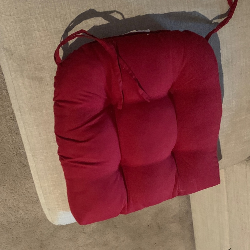 Red Cushion Seat Pad